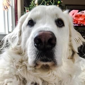 Meet your Posher, Sally